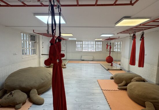 IMG_20260212_153016_344